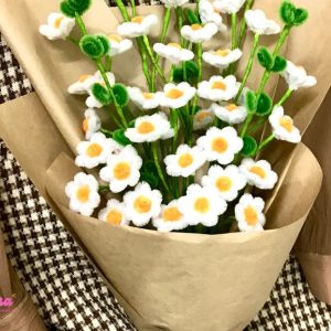 Sét hoa cúc kẽm nhung